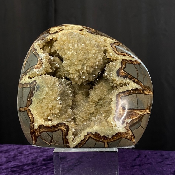 Utah Druzy Septarian Freeform 💎🤎💎UDS1